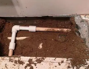 柳河测漏水哪家好